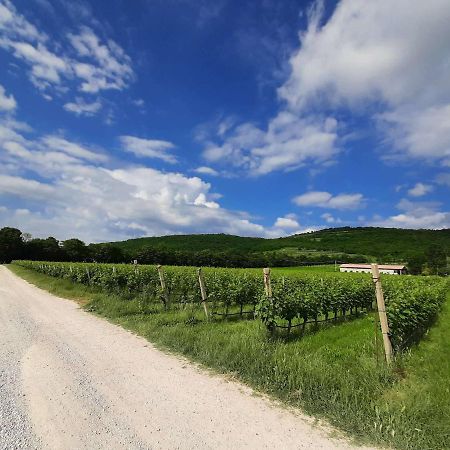 Agriturismo Andreis Alloggi Illasi Kültér fotó