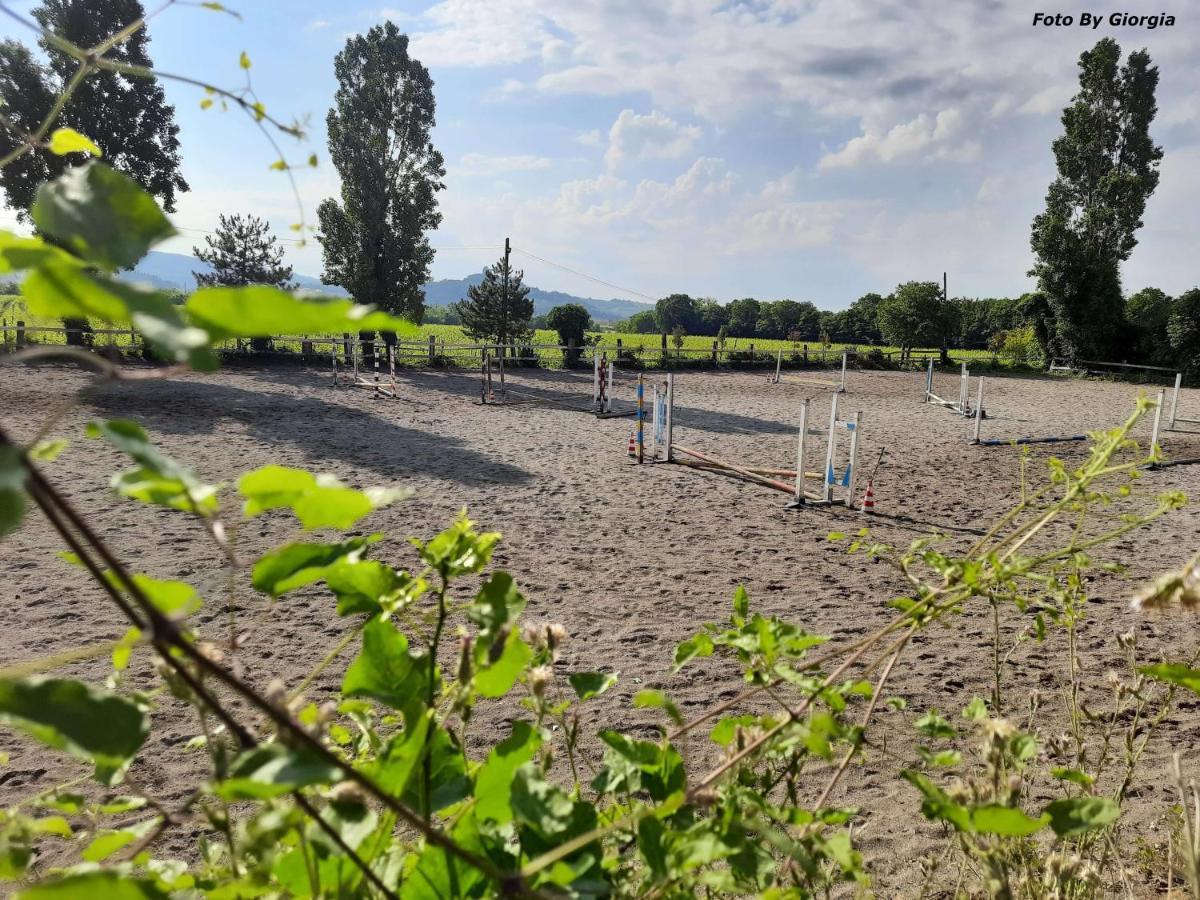 Agriturismo Andreis Alloggi Illasi Kültér fotó