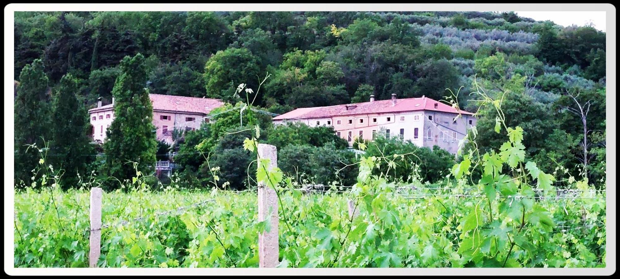 Agriturismo Andreis Alloggi Illasi Kültér fotó